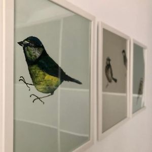 Studio